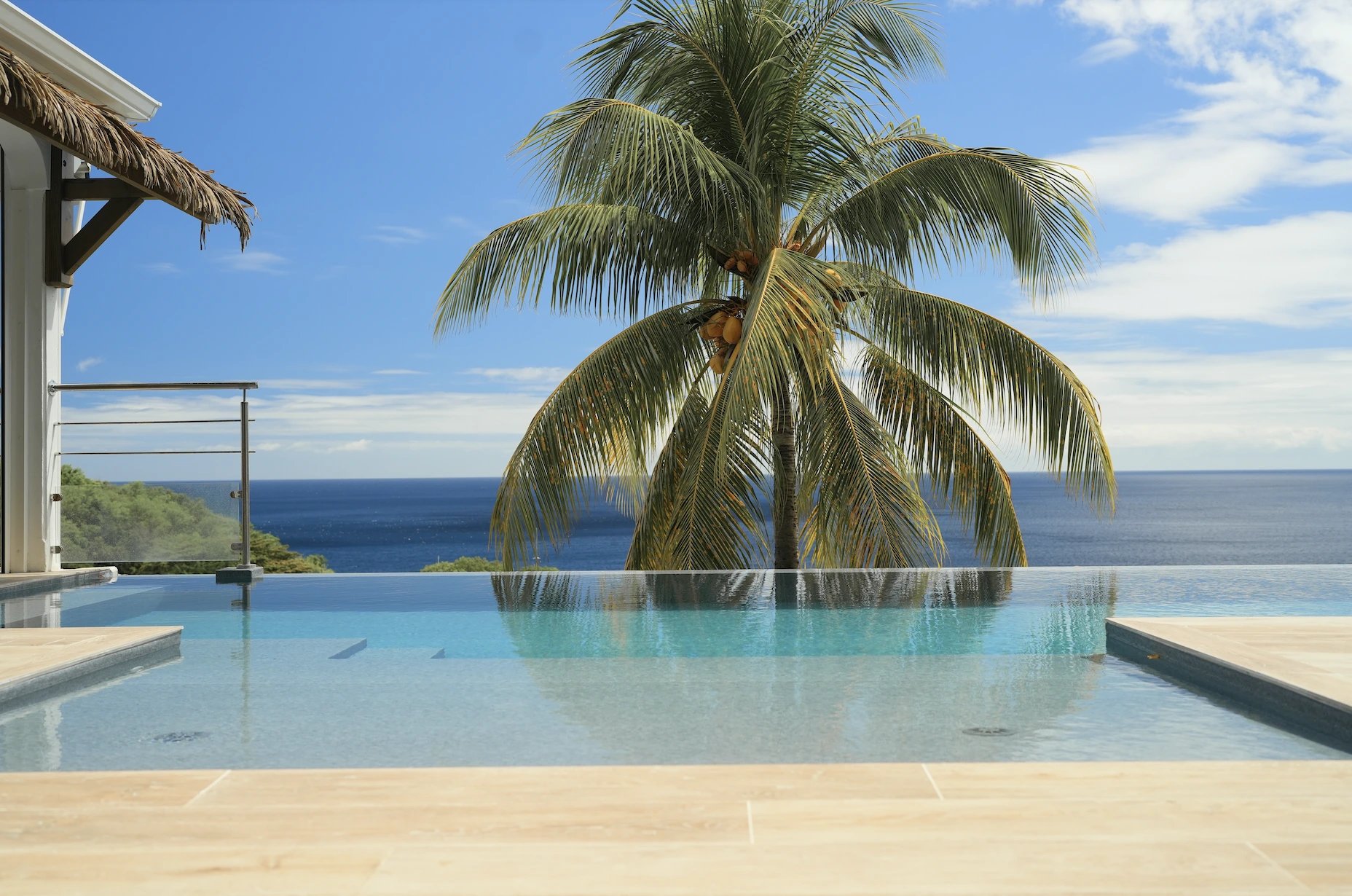 Villa Mana — la propriété, piscine à débordement et carbets face à la mer des Caraïbes